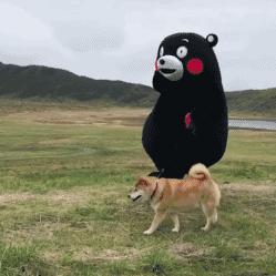 DƬ